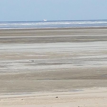 Gemuetliches Apartment Direkt Am Strand Cuxhaven Kültér fotó