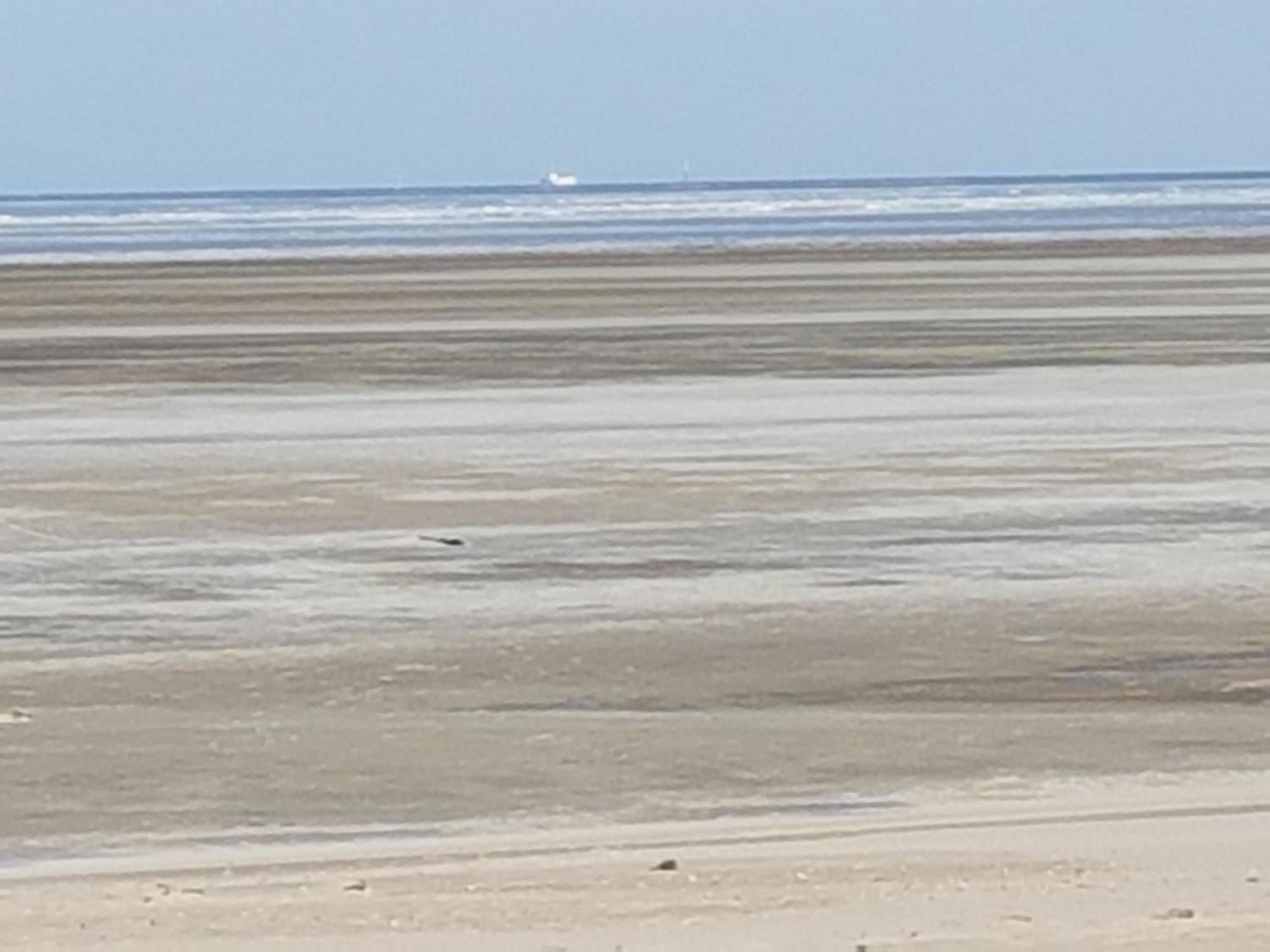 Gemuetliches Apartment Direkt Am Strand Cuxhaven Kültér fotó